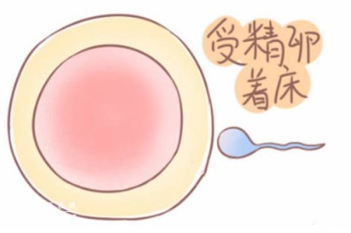 2022孕妈妈选择的无痛分娩是完全不痛吗